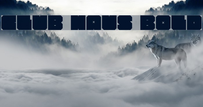 CLUB HAUS Bold Font examples