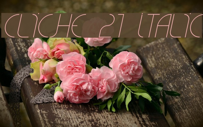 CLiCHE 21 Italic Font examples
