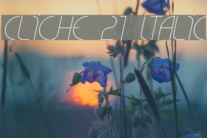 CLiCHE 21 Italic Font examples
