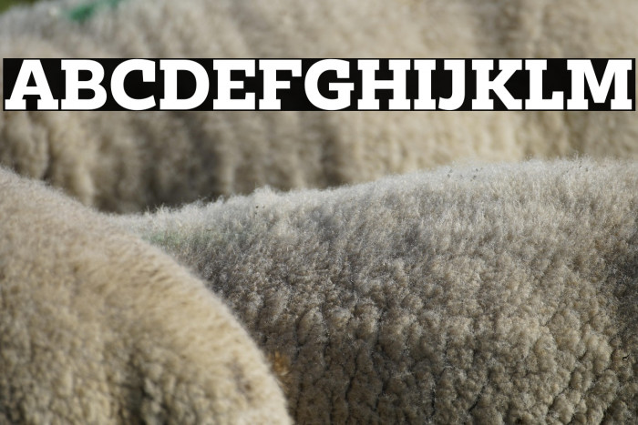 ClabPersonalUse-Bold Example 1