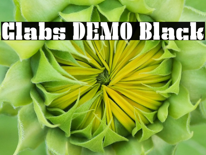 Clabs DEMO Black Fuentes examples