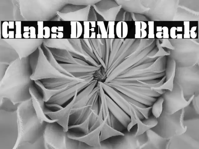 Clabs DEMO Black Caratteri examples