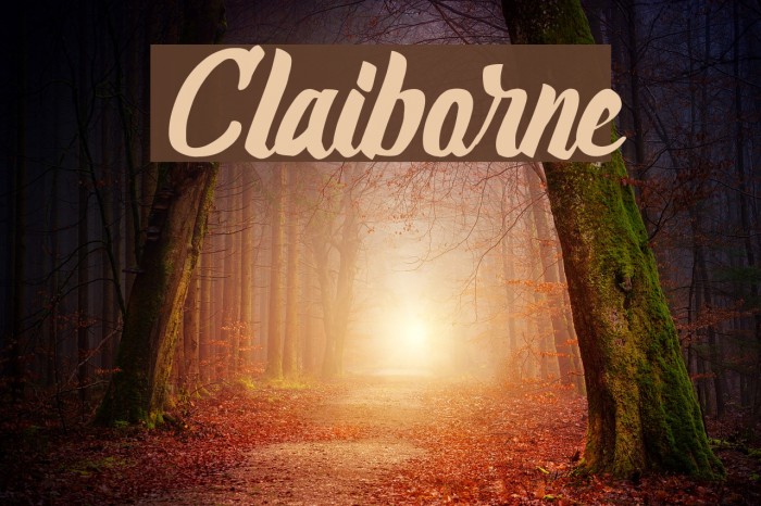 Claiborne Font examples