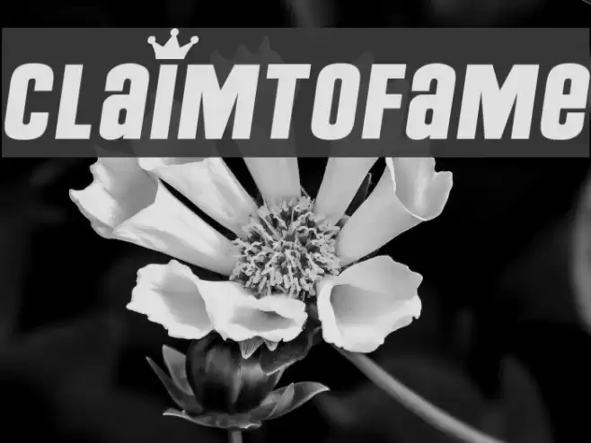ClaimToFame Font examples