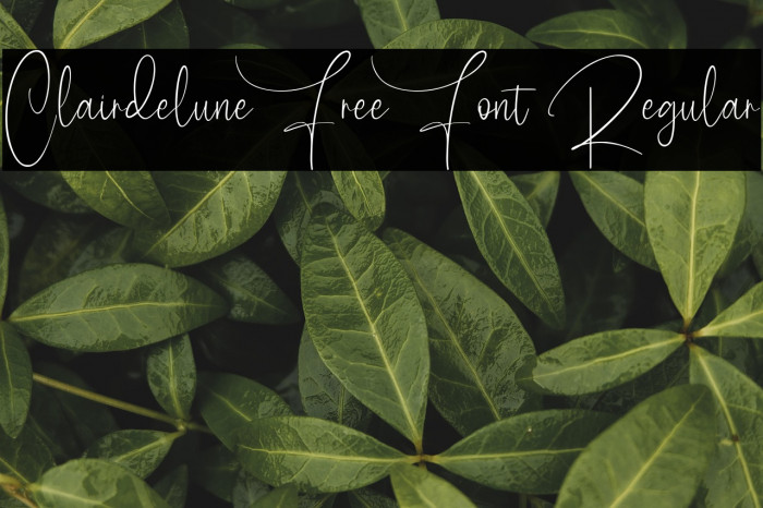 Clairdelune Free Font Regular Example 3