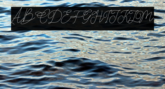 Claire Script Example 1