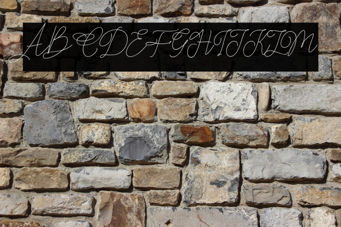 Claire Script Example 2