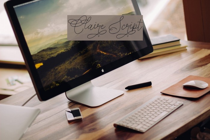 Claire Script Example 1