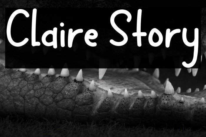 Claire Story Example 2