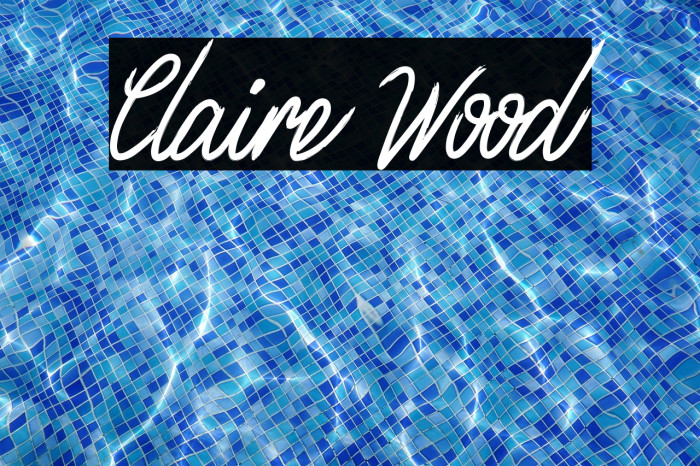 Claire Wood Example 1