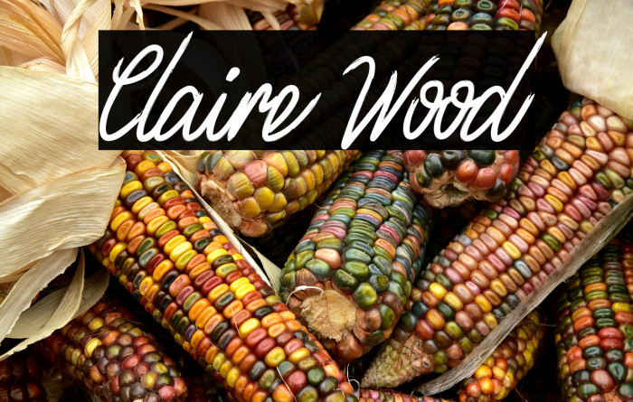 Claire Wood Example 2