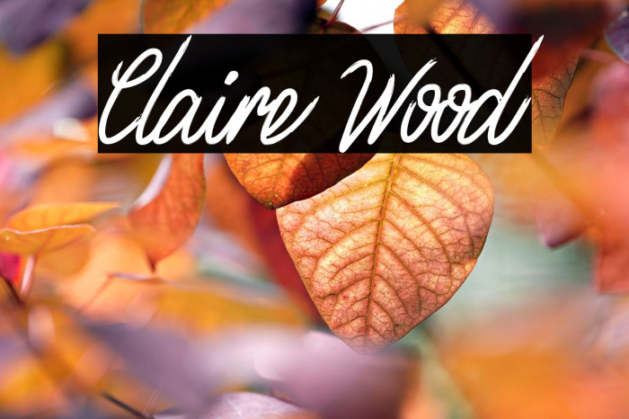 Claire Wood Example 3