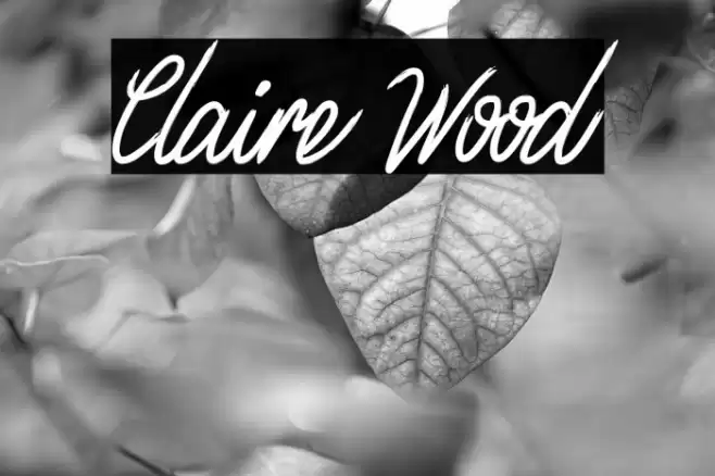 Claire Wood फ़ॉन्ट examples