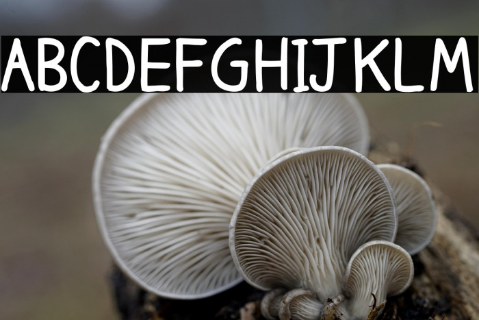 ClaireHand-Bold Example 1