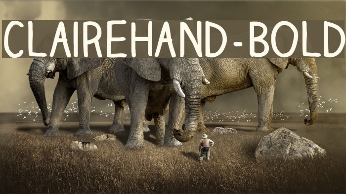 ClaireHand-Bold Example 2