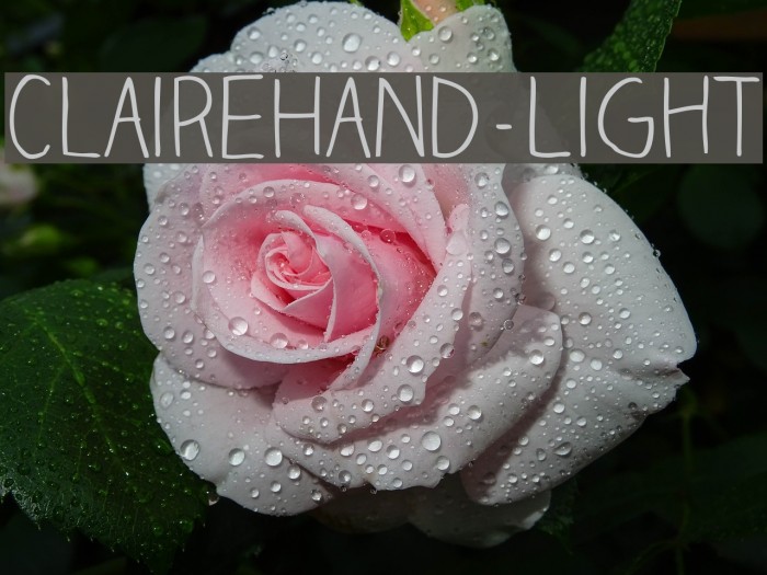 ClaireHand-Light Example 1