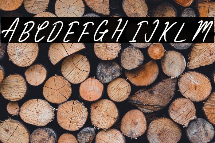 ClaireWood Example 1