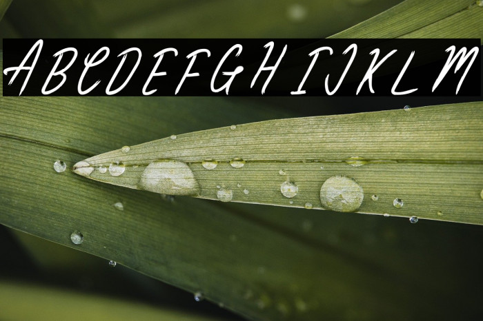 ClaireWood Example 3