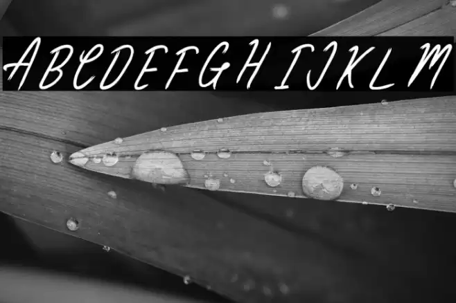 ClaireWood 字体 examples