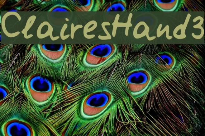 ClairesHand3 Example 2