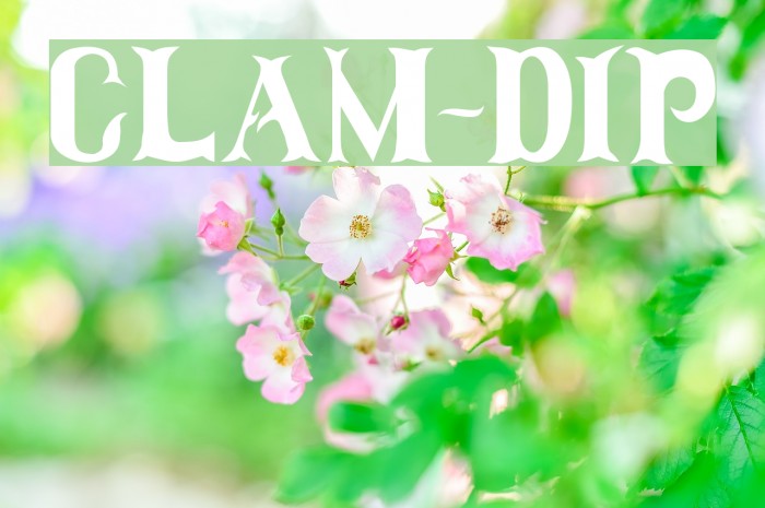 Clam-Dip Font examples