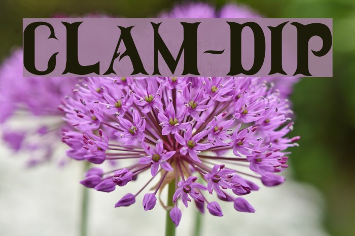 Clam-Dip Font examples