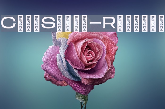 ClamShack-Regular Example 1