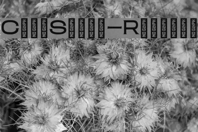 ClamShack-Regular Font examples