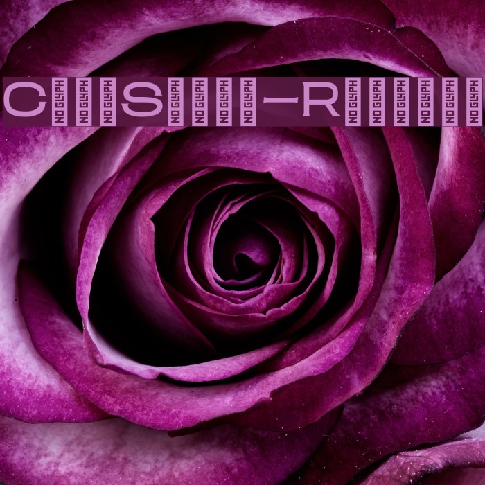 ClamShack-Regular Example 3