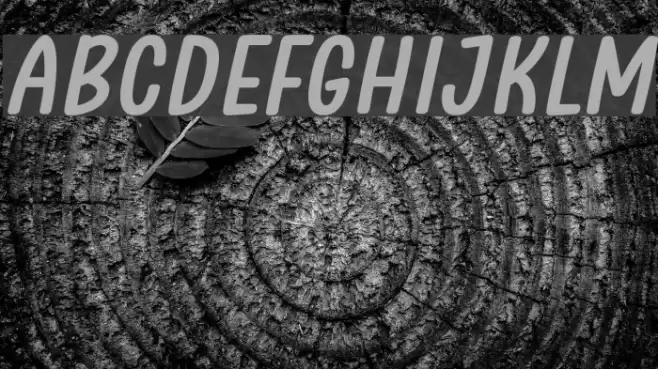 Clambake October Six Bold Italic Font examples