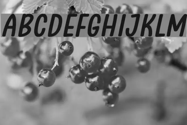 Clambake October Six Bold Italic Font examples