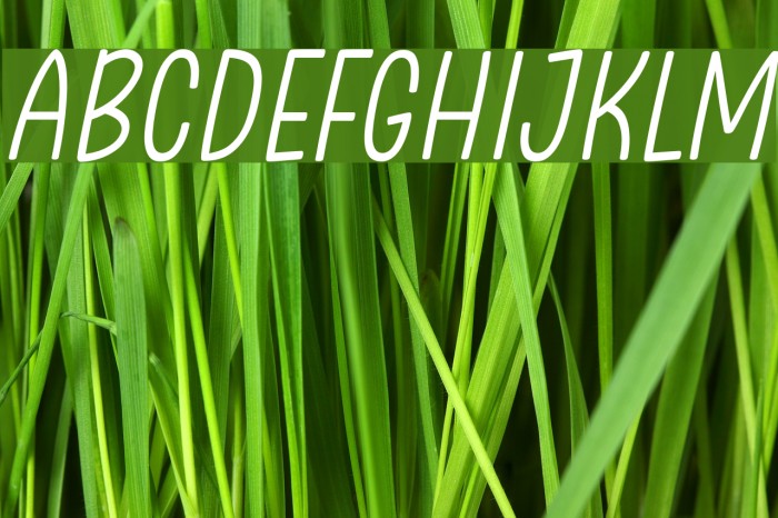 Clambake October Six Light Italic Font examples