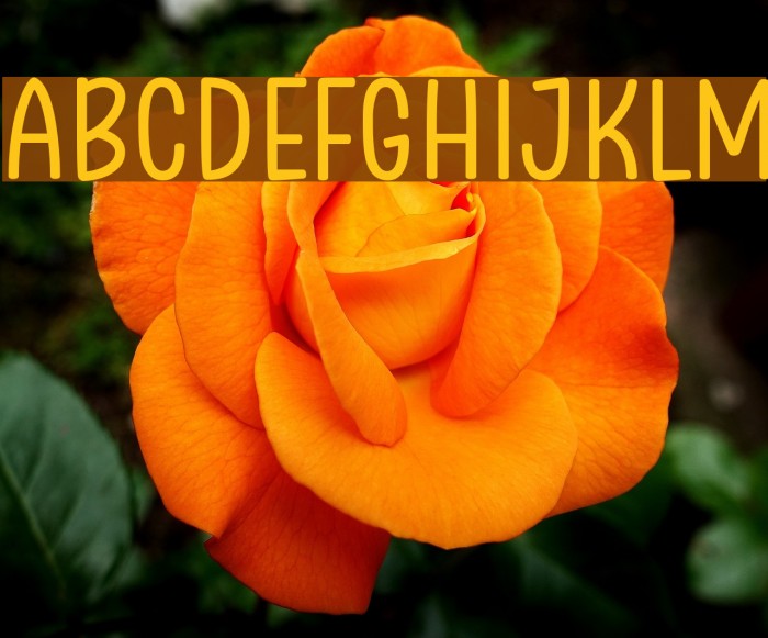 Clambake October Six Font examples