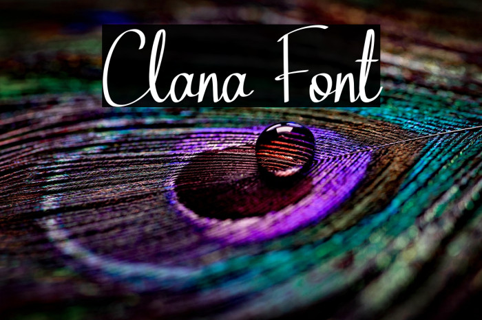 Clana Example 1