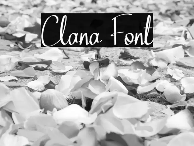 Clana Font examples