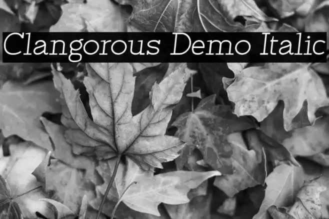 Clangorous Demo Italic Font examples