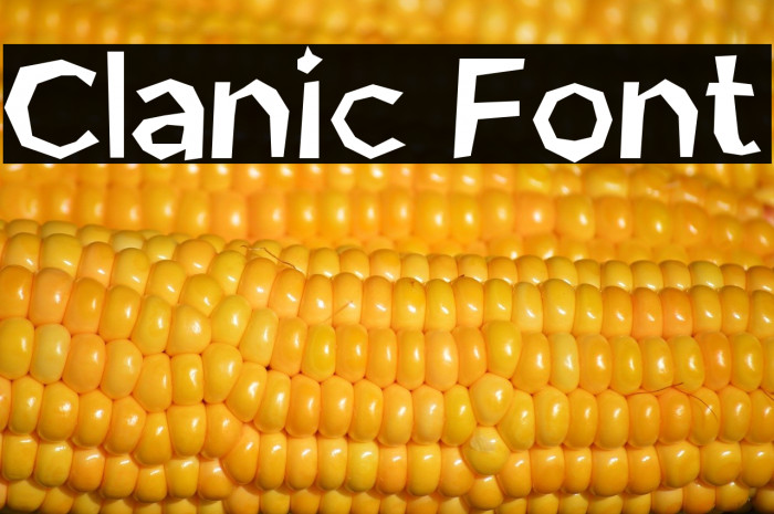 Clanic Font Example 1