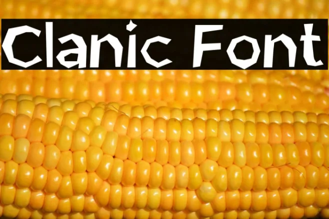 Clanic Font Example 1