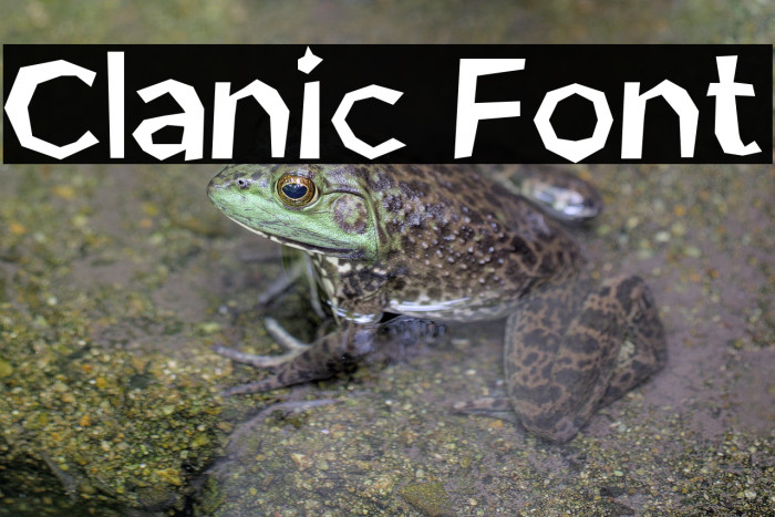 Clanic Font Example 2