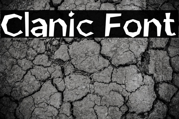 Clanic Font Example 3