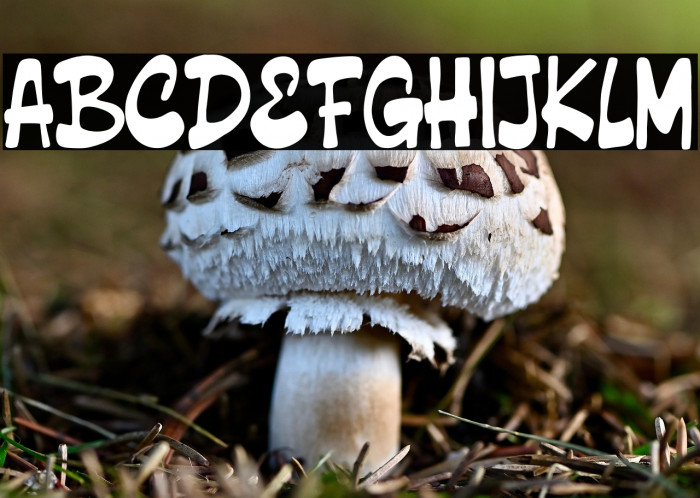 Claping Ballon Free Version Example 1