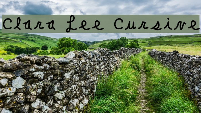 Clara Lee Cursive Font examples