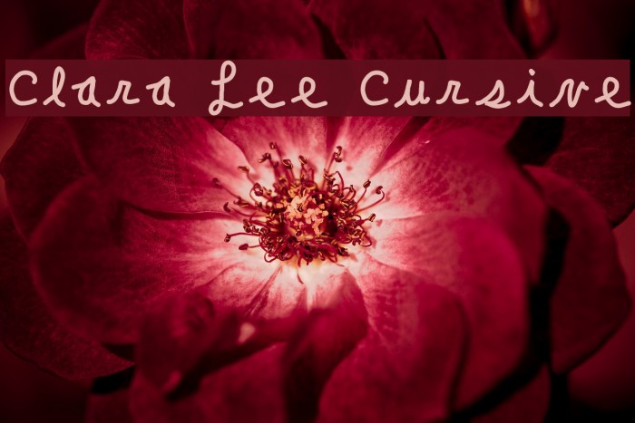 Clara Lee Cursive Font examples