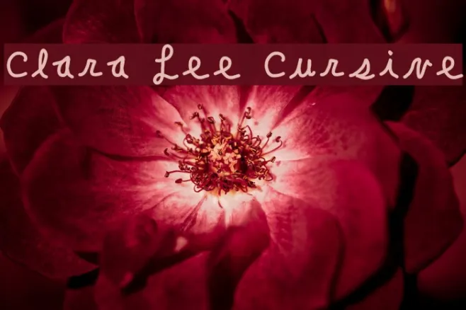 Clara Lee Cursive Example 3