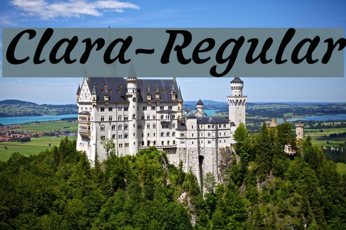 Clara-Regular Font examples