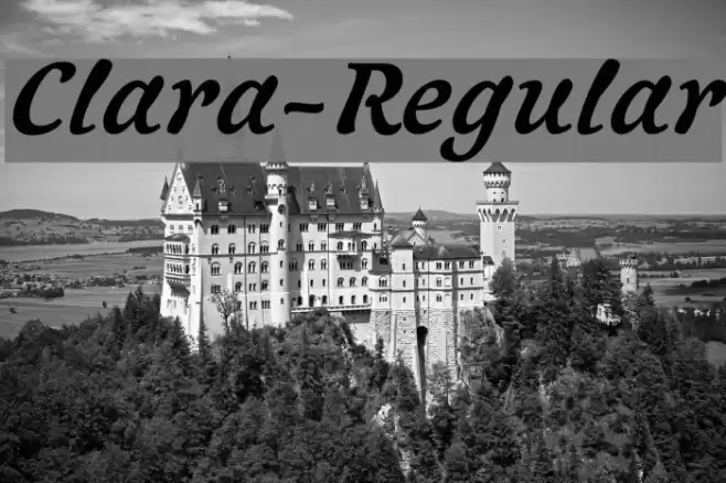 Clara-Regular Polices examples