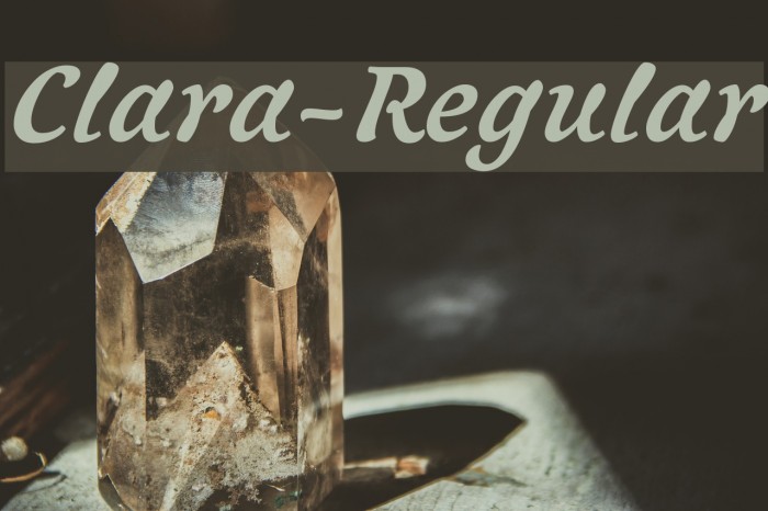 Clara-Regular Font examples