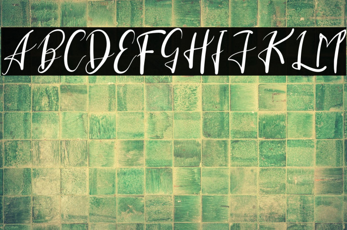 Clara Sherly Example 1