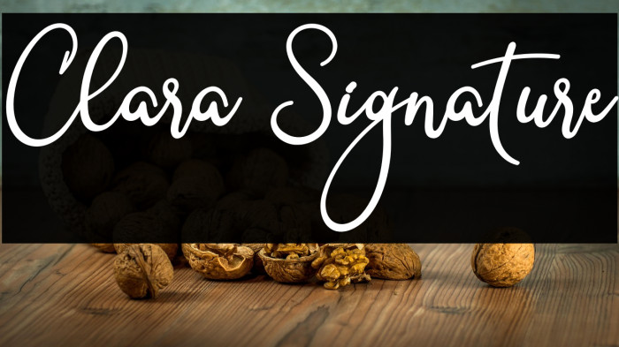 Clara Signature Example 2