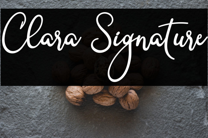 Clara Signature Example 3